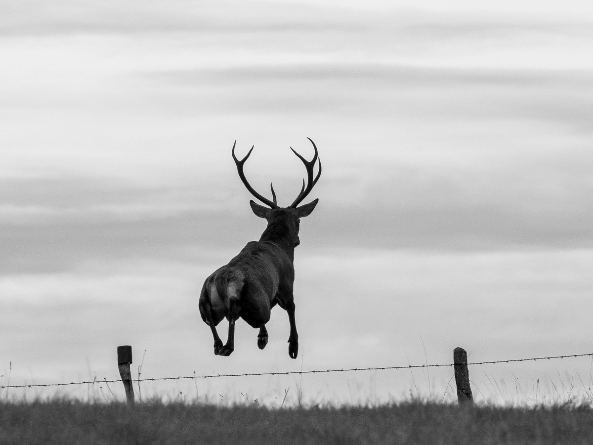 03102025-03 10 25 (25).jpg